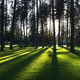 Image for article titled 395 Photos That Prove Cellphones Make Great Cameras